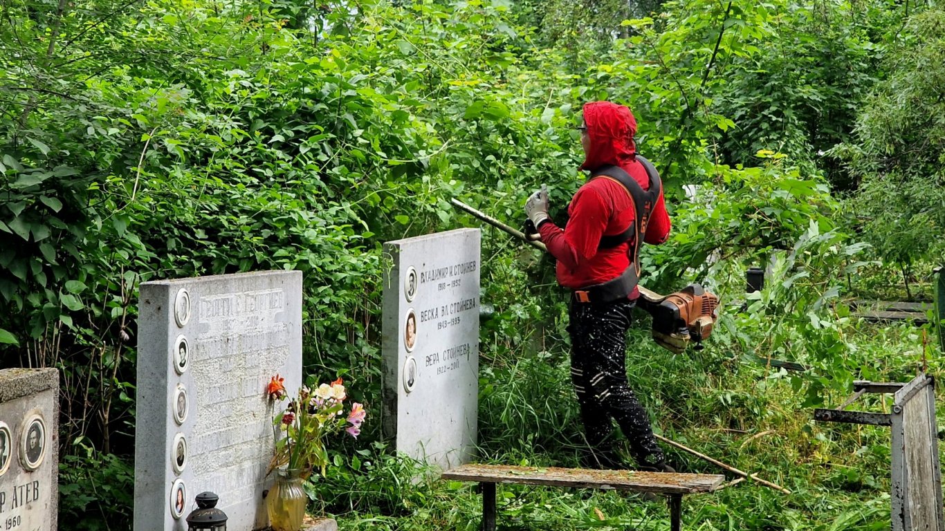 Започва масово почистване на гробищата в София 