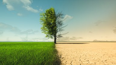 Климатично земеделие: Приспособяване и устойчивост към климатичните промени