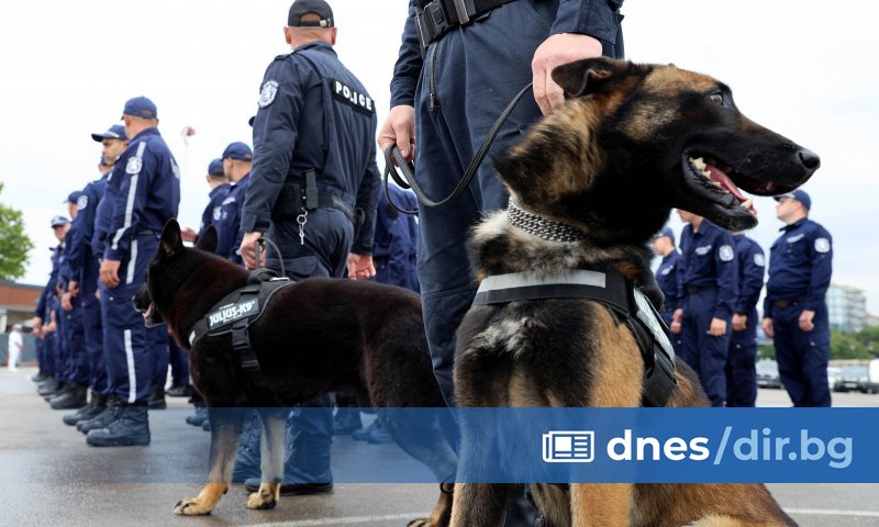 Снимка: БТА Вече имате подготовката да тръгнете уверено и достойно