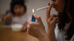 Франция забранява пушенето на обществени места, посещавани от деца