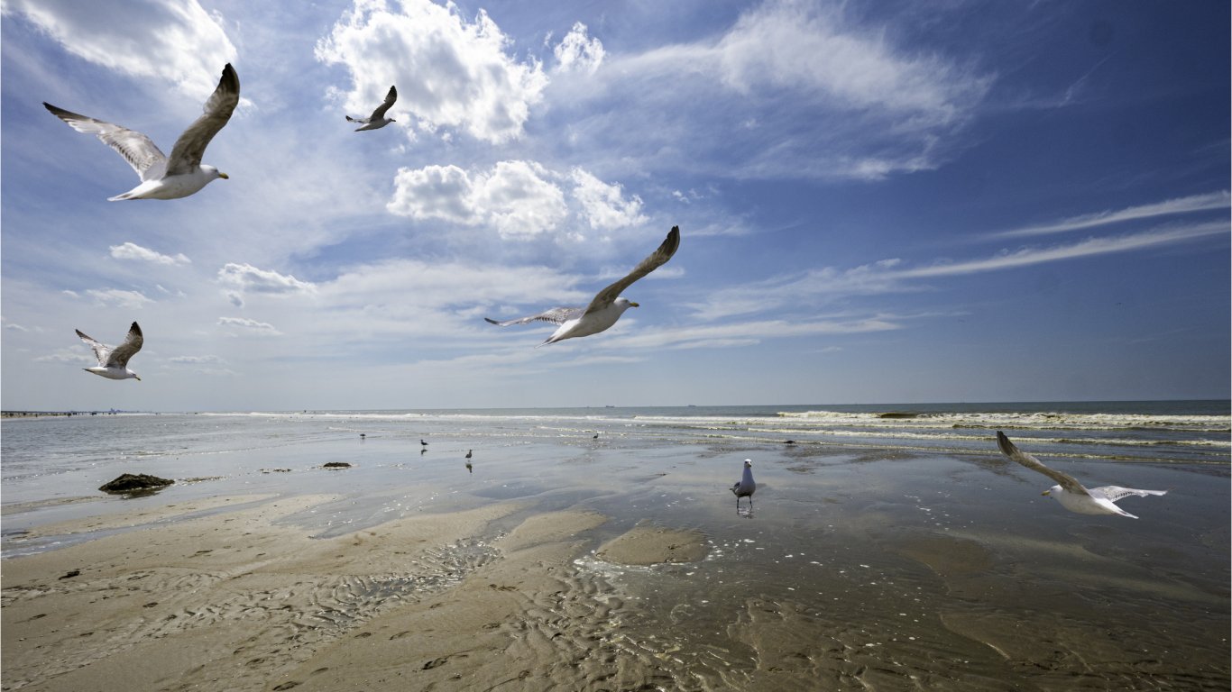 2025 г. е била най-топлата в историята на Северно море