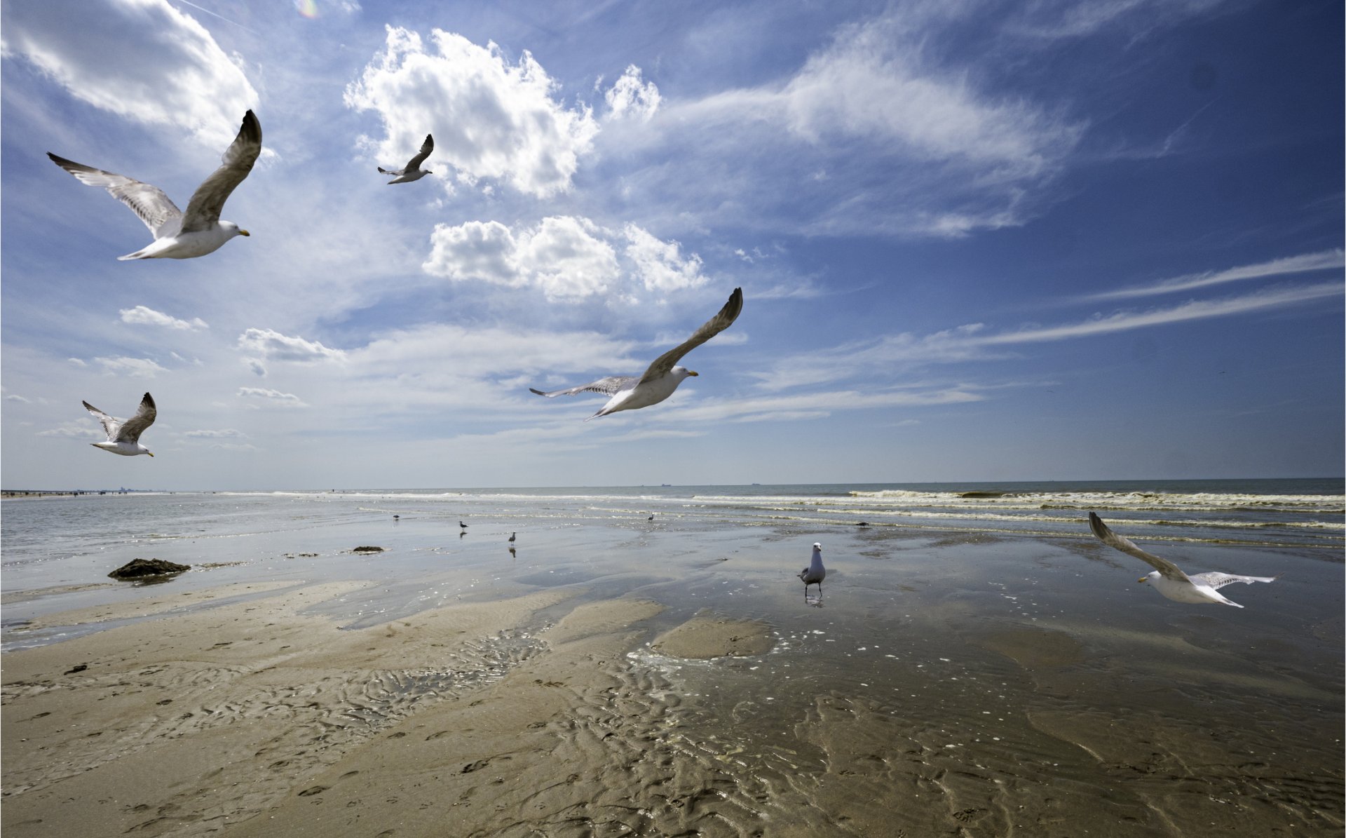 2025 г. е била най-топлата в историята на Северно море