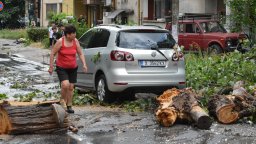 Силна буря с градушка удари Хасково, дърво падна върху кола на булевард (снимки/ видео)