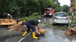 След бурите: Щети из цяла България, в сила е жълт код за валежи в 16 области днес