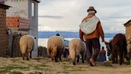 Как фермерите в Андите оцеляват в по-сухия и горещ климат