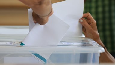 "Галъп": Малко по-ниска избирателна активност към 11 ч. спрямо предходните избори за НС