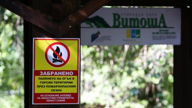 На Витоша засилват контрола за опазване на горите от пожари