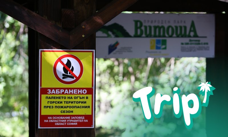 Министерският съвет прие решение за предоставяне за управление на горски