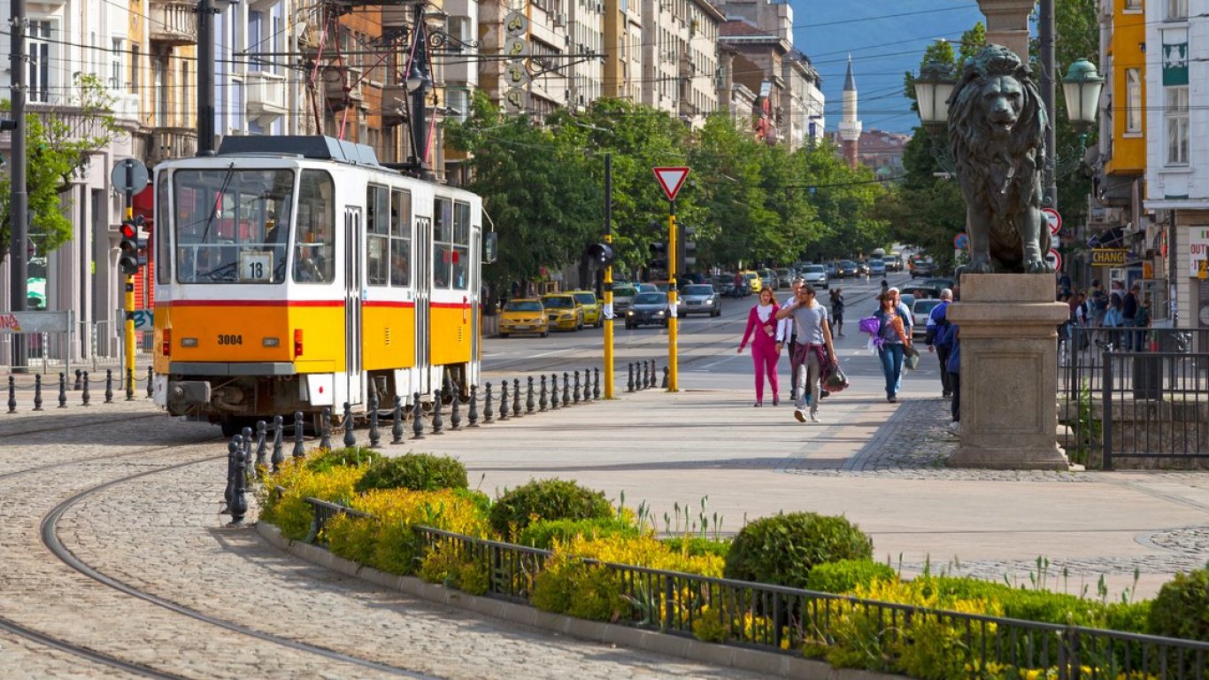 Столичната община осигурява допълнителен транспорт за Задушница