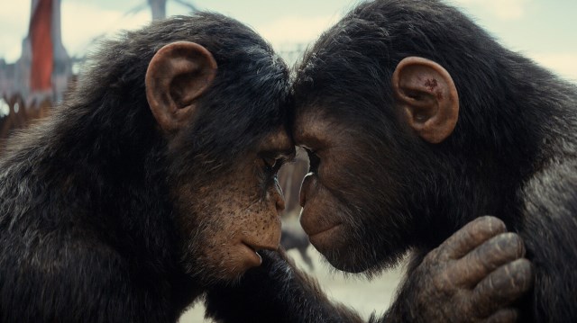 [Migrated image] https://i.dir.bg/kino/films/15868/g_kingdomoftheplanetoftheapes_2758_8_c063449f.jpg