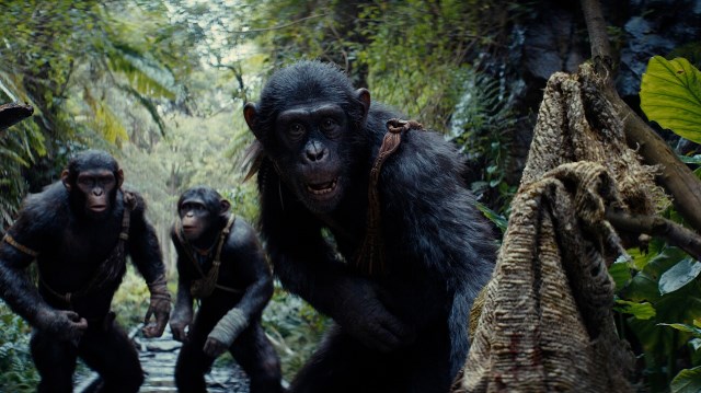 [Migrated image] https://i.dir.bg/kino/films/15868/g_kingdomoftheplanetoftheapes_2758_7_a17be20f.jpg