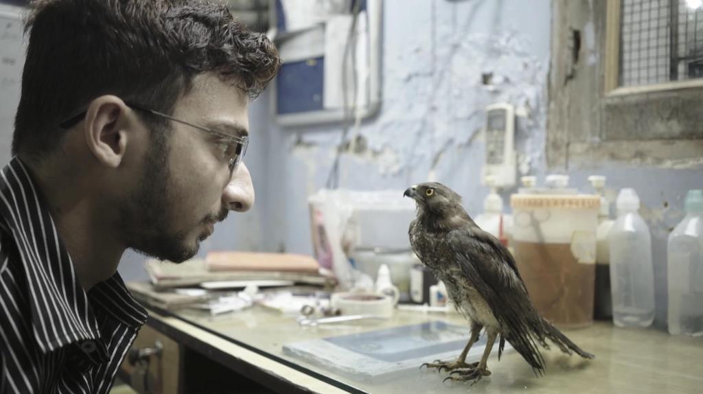 [Migrated image] https://i.dir.bg/kino/films/15734/24997.jpg