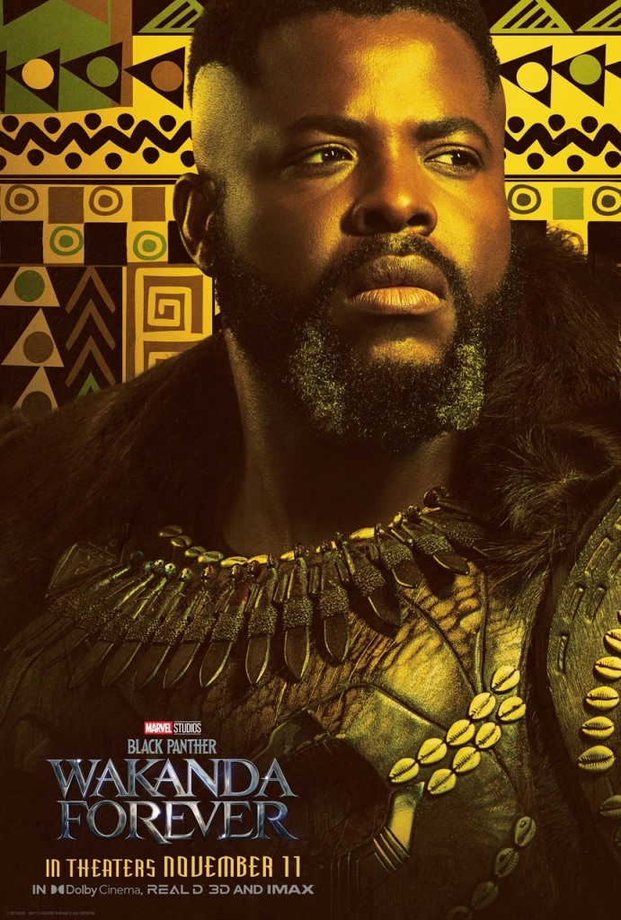 [Migrated image] https://i.dir.bg/kino/films/15358/black_panther_wakanda_forever_ver21_xlg.jpg