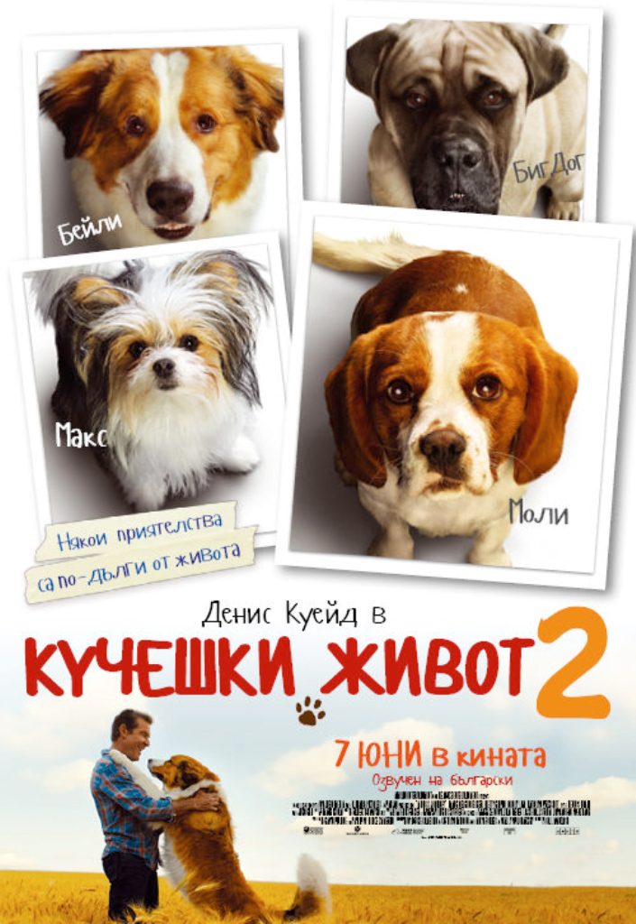 [Migrated image] https://i.dir.bg/kino/films/13702/BS_Films_A_Dogs_Journey_poster.jpg