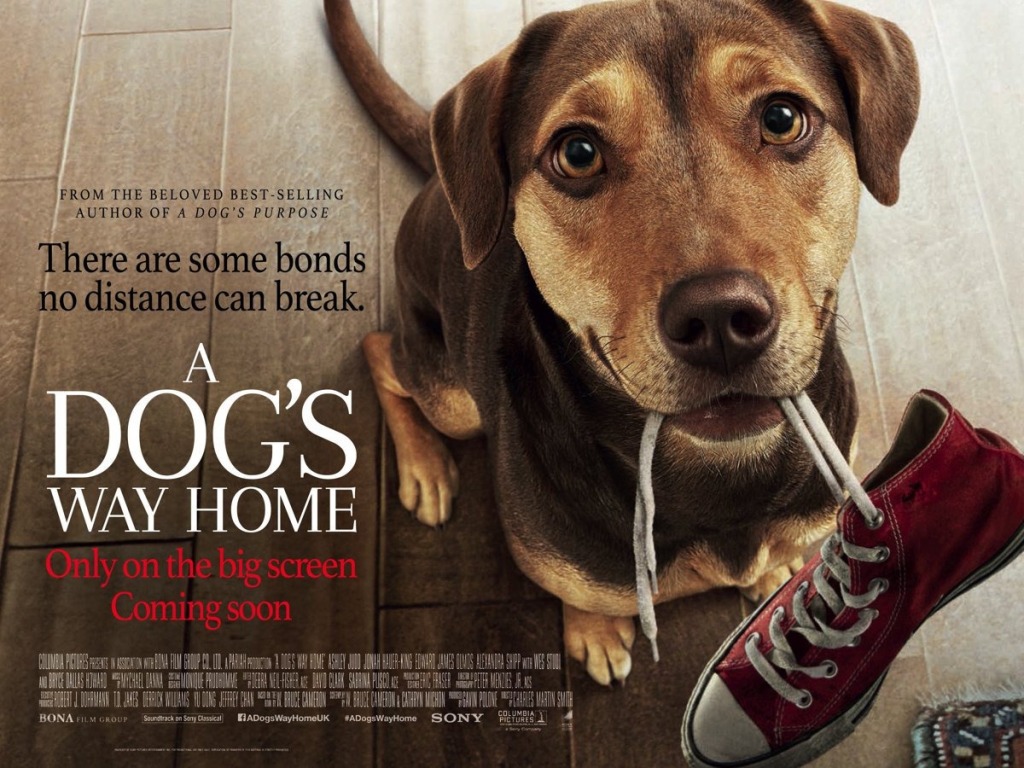 [Migrated image] https://i.dir.bg/kino/films/13439/dogs_way_home_ver2_xlg.jpg