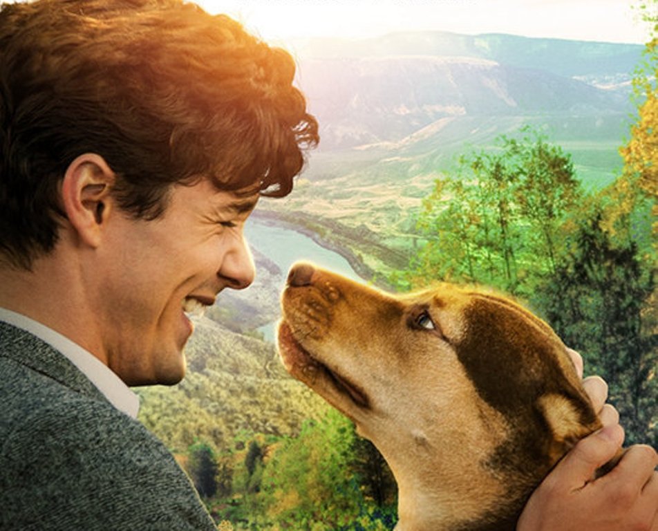 [Migrated image] https://i.dir.bg/kino/films/13439/dogs_way_home_ver8.jpg