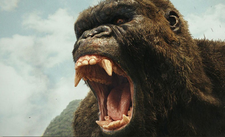 [Migrated image] https://i.dir.bg/kino/films/11027/kong-skull-island-20170220-790x481.jpg