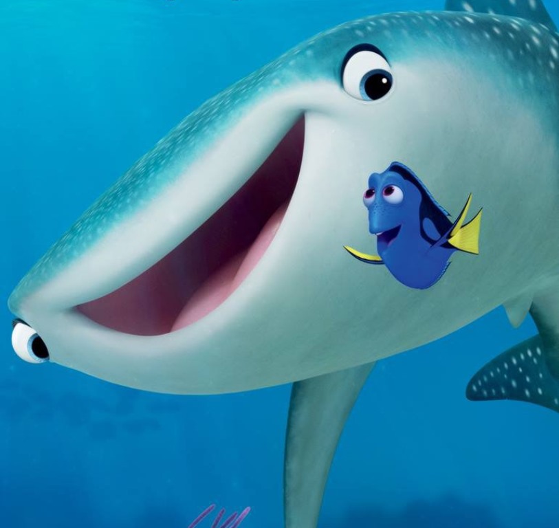 [Migrated image] https://i.dir.bg/kino/films/10041/finding_dory_ver13_xlg.jpg