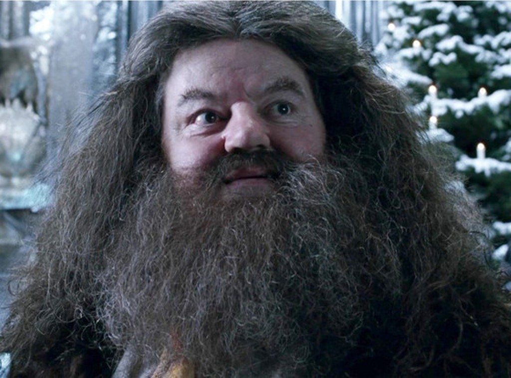 [Migrated image] https://i.dir.bg/kino/films/871/rs_560x415-150130095539-1024.Hagrid-jmd-013015_copy.jpg