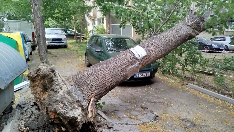 Силна буря с градушка удари София, десетки са сигналите за прекършени дървета (снимки/видео)