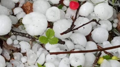 70 от реколтата в Тополово е напълно унищожена след вчера