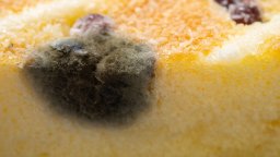 Швейцария изтегля от пазара царевично брашно от Сърбия заради микотоксини