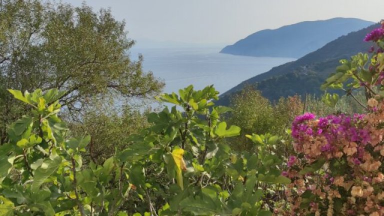 Непознатият гръцки остров Алонисос - безценно съкровище за ценители