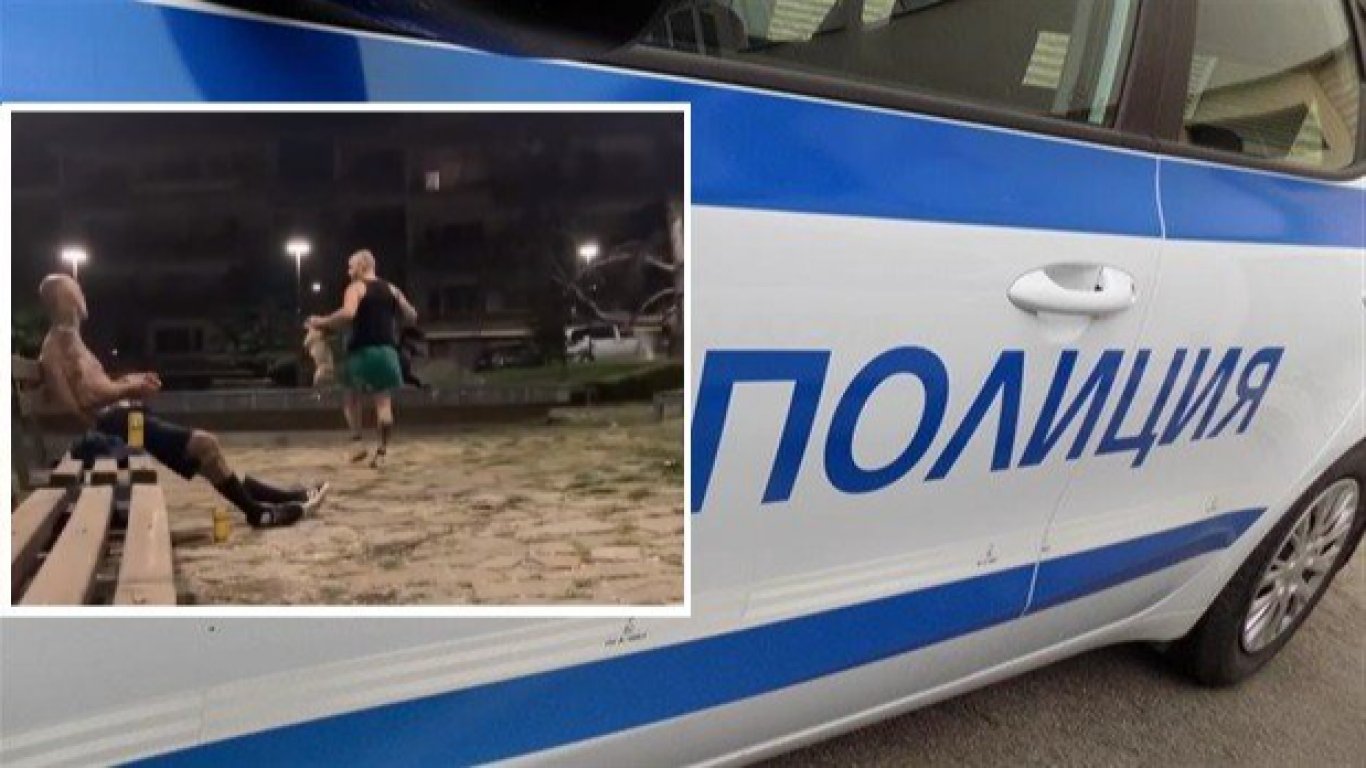 Полицията разследва насилие над кучета, хвърляни многократно във фонтан в Стара Загора (видео)