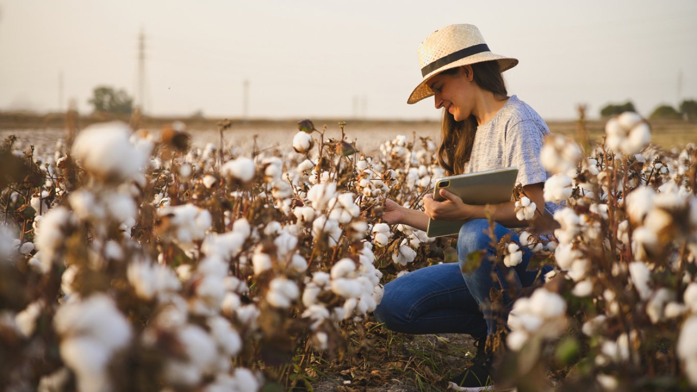 Pepco подкрепя устойчивото производство на памук. Какво представлява инициативата Better Cotton и защо компанията се включва в нея? 