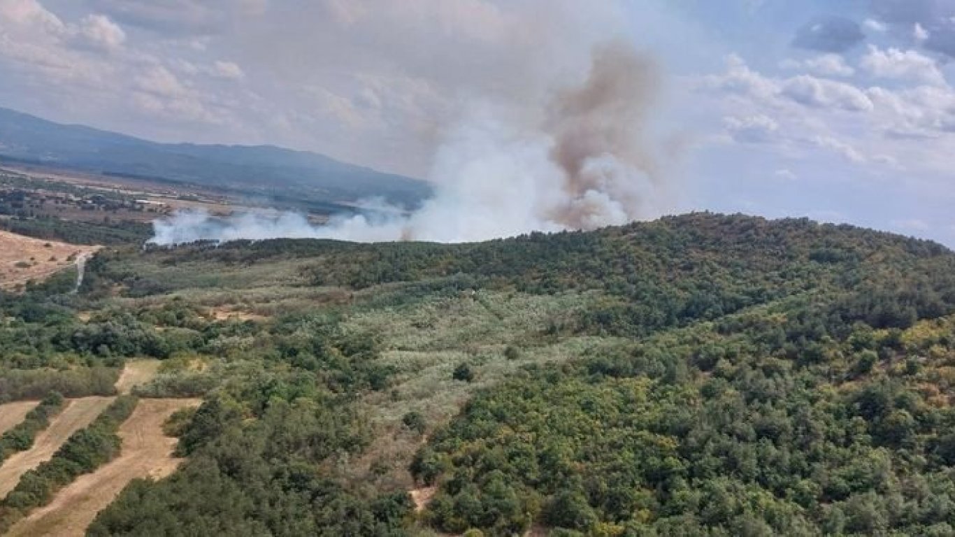 Заради пожарите: Обявиха частично бедствено положение за 7 дни в Хисаря и Калояново (снимки)