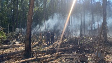 Самолет на "Газпром" се разби в гората край Москва, загина целият екипаж (снимки/видео)
