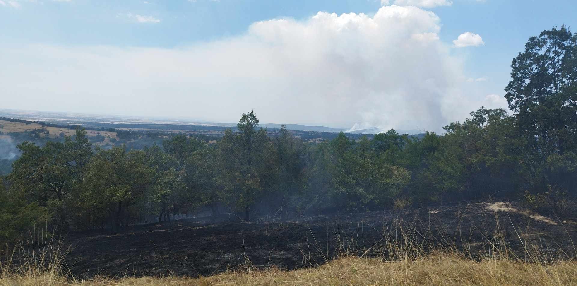 Пожарът в Сърнегор