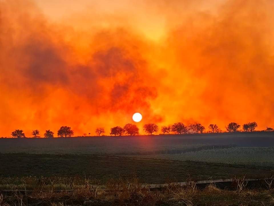 Големият пожар в Свиленградско стигна до първите къщи на село Левка