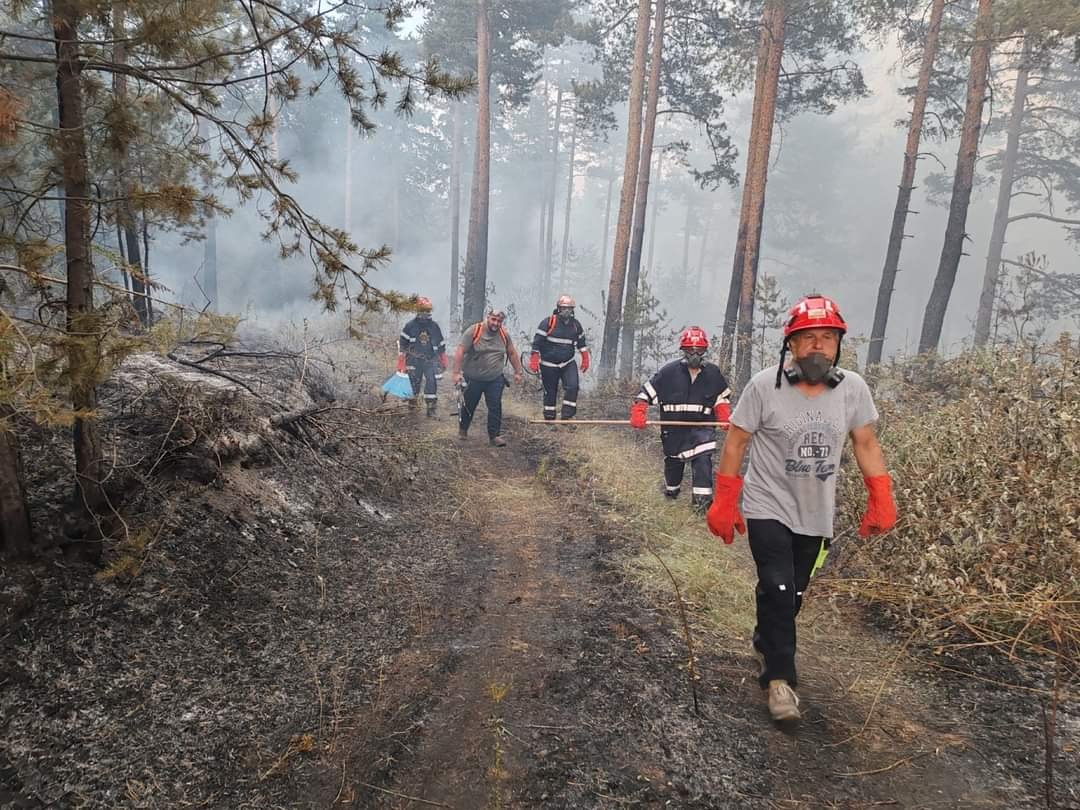 Пожарът в Огражден планина