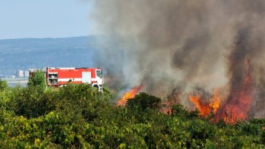 Огненият ад край Варна продължава, пожарът пламна отново и затвори участък от "Хемус" (снимки)