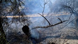 Тежка нощ за огнеборците: Над 30 изгорели къщи в Отец Паисиево, евакуираха хората
