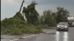След 41 градуса в Русе: Буря помете региона, 5000 семейства без ток, дървета затиснаха коли 