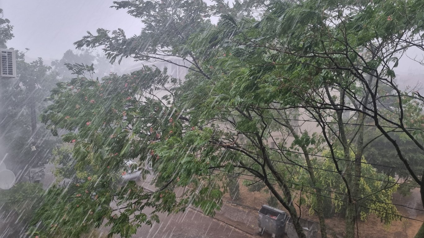 Бурята в Плевен