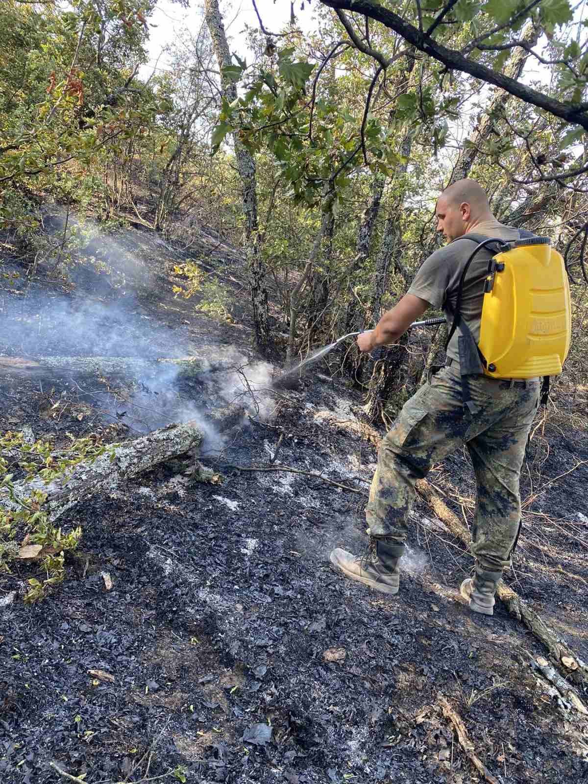 Гасенето на пожара край Отец Паисиево 