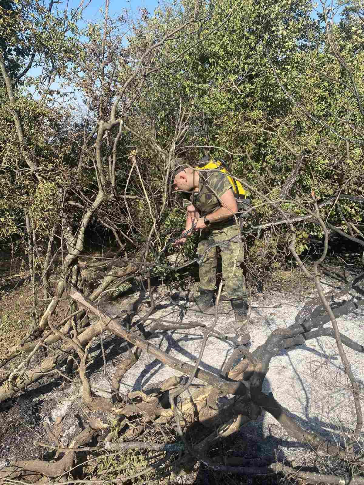 Гасенето на пожара край Отец Паисиево 