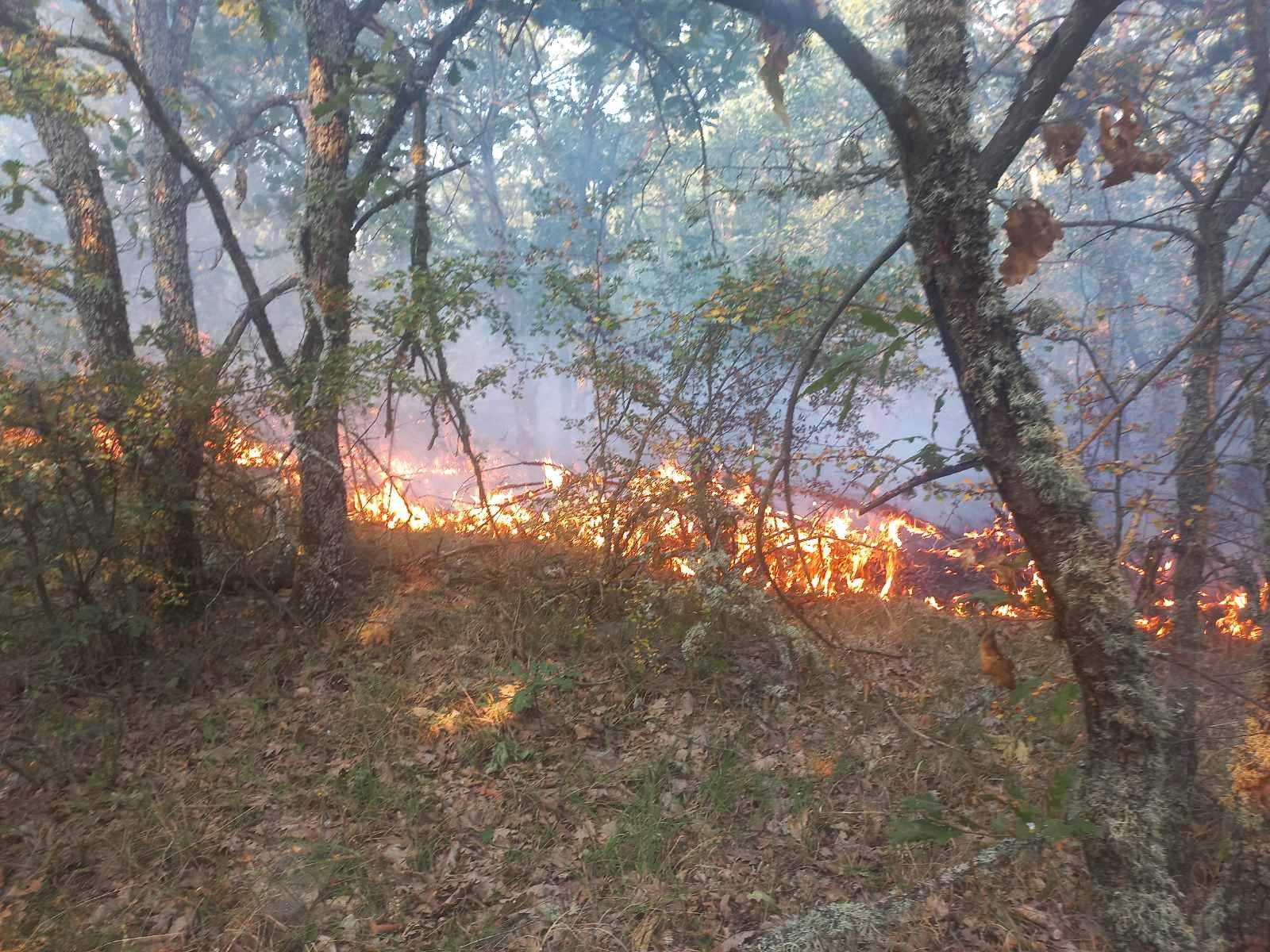 Пожарът между селата Воден и Крайново 