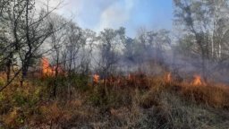 Голям пожар лумна край Гребната база в Пловдив (снимки)