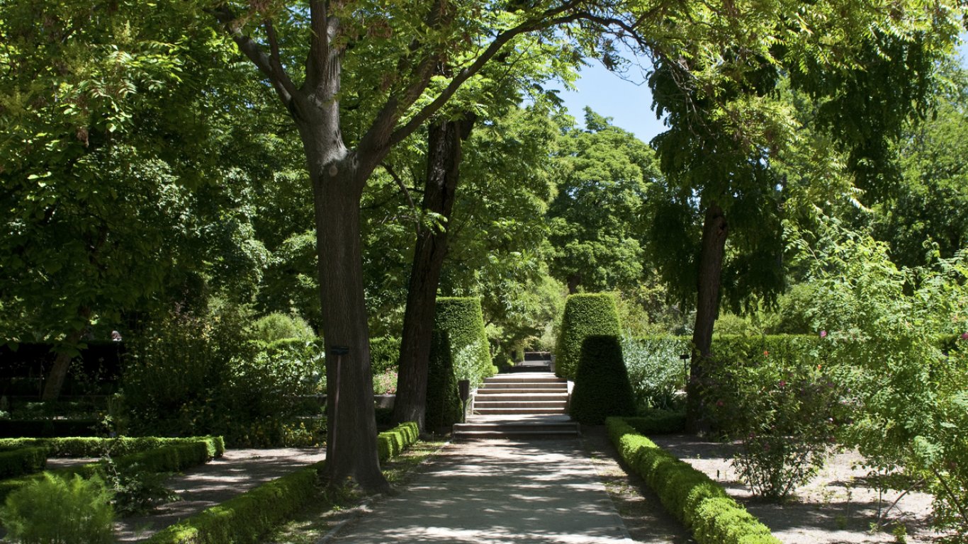 Дървета в лондонската Кралска ботаническа градина са застрашени от изчезване