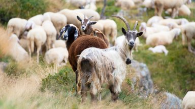 Доброволци и полицейски екипи 78 годишна жена в казанлъшкото село