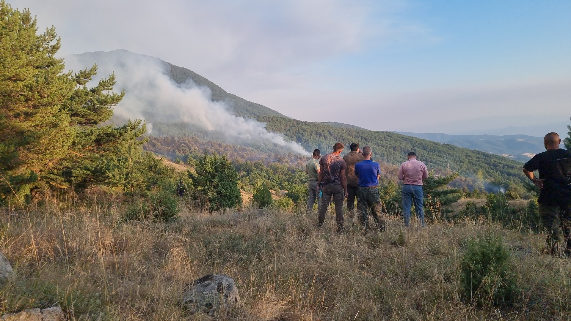 Пожарът край Сенокос