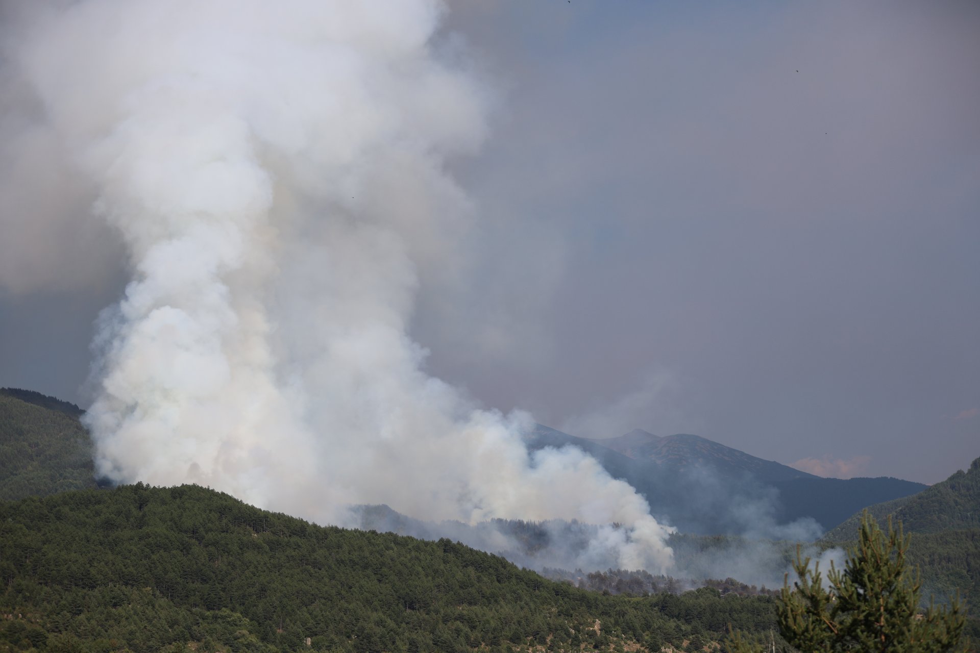 Пожарът край Сенокос