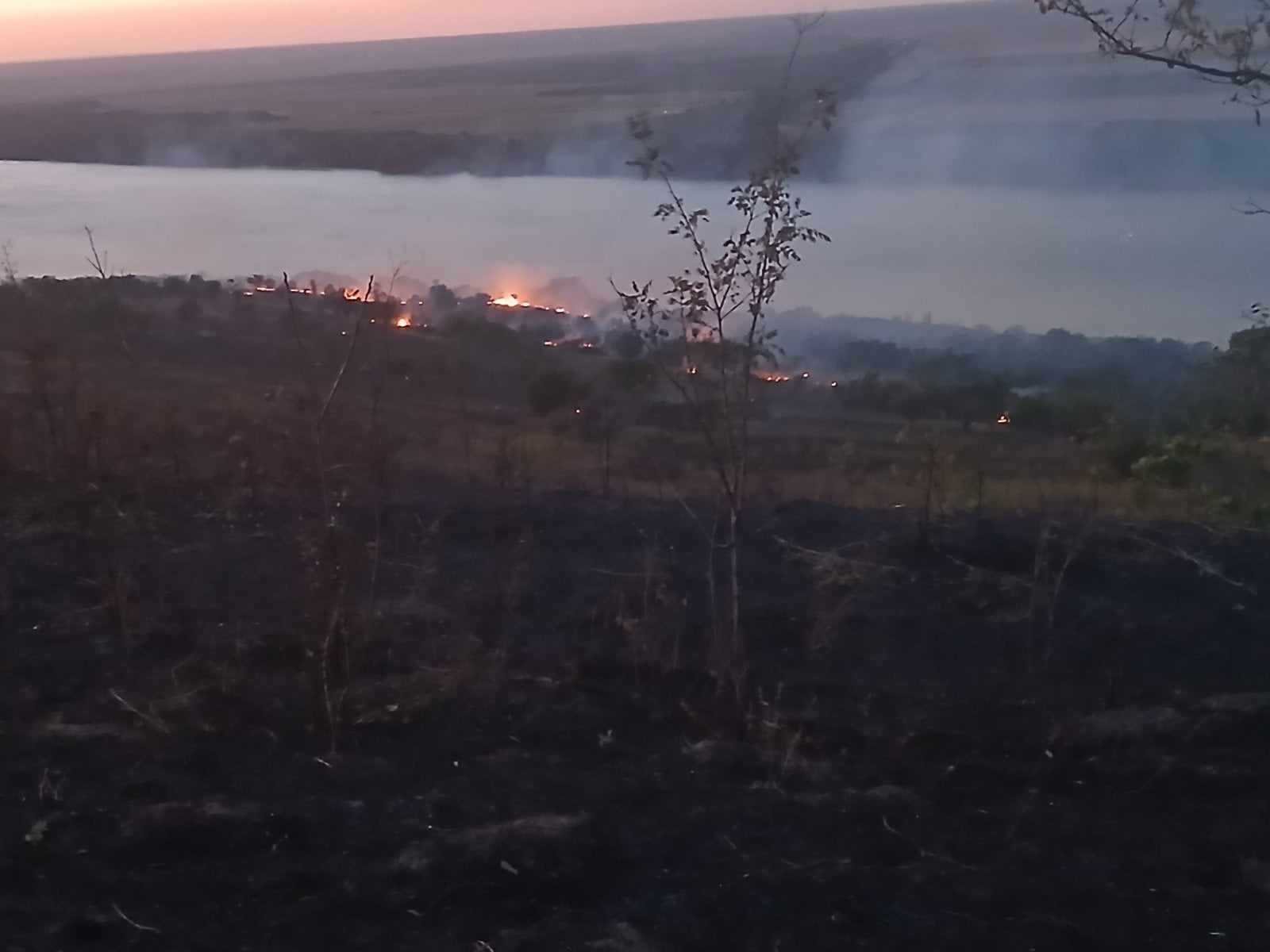 Пожарът край село Остров