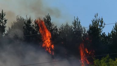 Голям пожар избухна край Самоков, наближава близко село