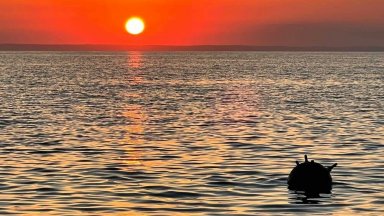 Черно море е терен на военни действия минно поле и