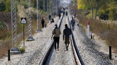 През първото тримесечие на 2025 година броят на молбите за